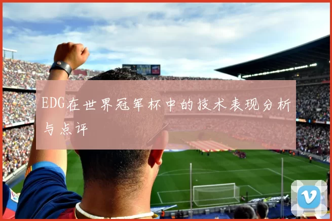 EDG在世界冠军杯中的技术表现分析与点评