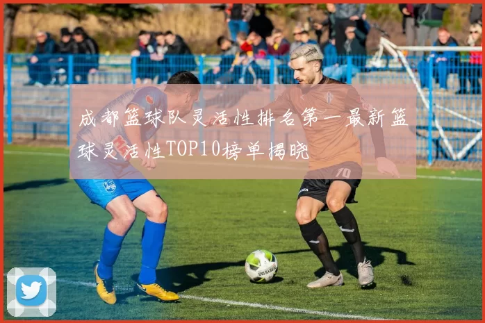 成都篮球队灵活性排名第一最新篮球灵活性TOP10榜单揭晓