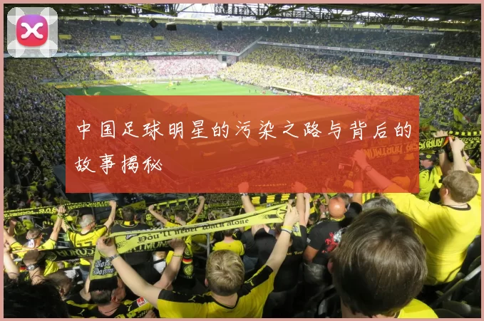 中国足球明星的污染之路与背后的故事揭秘