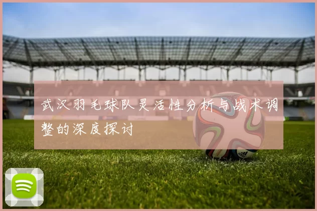 武汉羽毛球队灵活性分析与战术调整的深度探讨