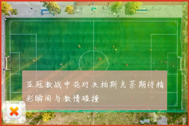 亚冠激战申花对决柏斯光茶期待精彩瞬间与激情碰撞