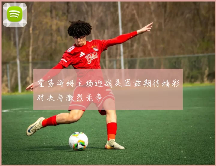霍芬海姆主场迎战美因兹期待精彩对决与激烈竞争