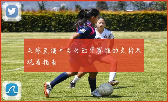 足球直播平台对西甲赛程的支持及观看指南