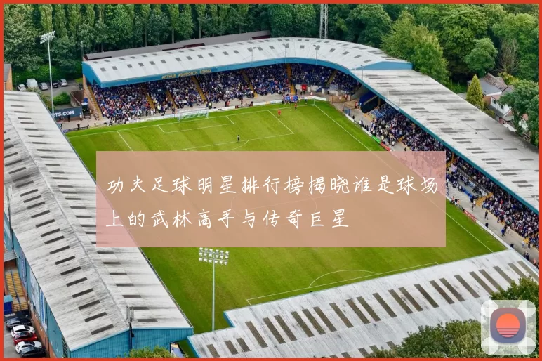 功夫足球明星排行榜揭晓谁是球场上的武林高手与传奇巨星