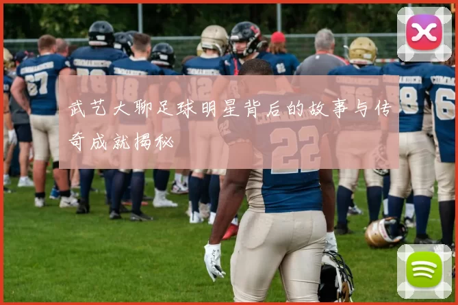 武艺大聊足球明星背后的故事与传奇成就揭秘