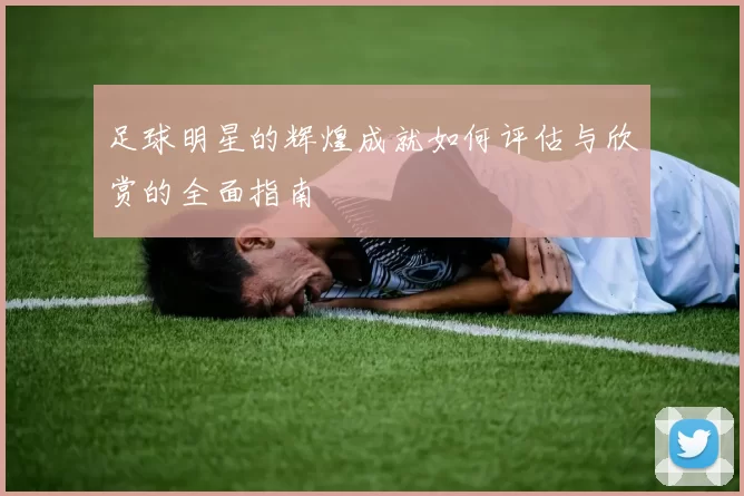 足球明星的辉煌成就如何评估与欣赏的全面指南