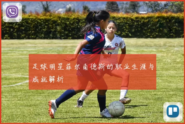 足球明星菲尔南德斯的职业生涯与成就解析