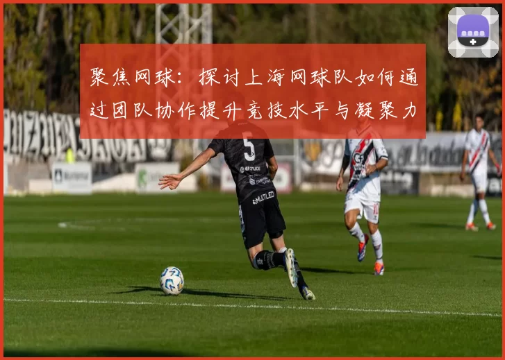 聚焦网球：探讨上海网球队如何通过团队协作提升竞技水平与凝聚力