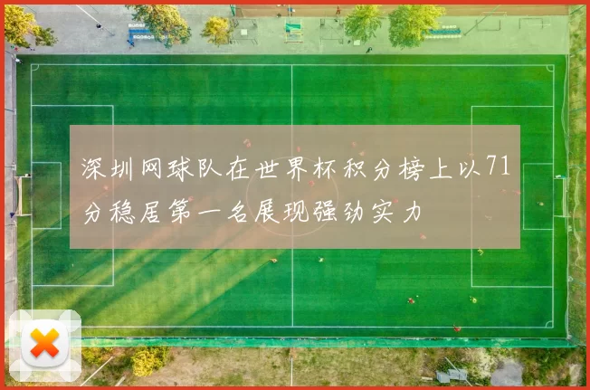 深圳网球队在世界杯积分榜上以71分稳居第一名展现强劲实力
