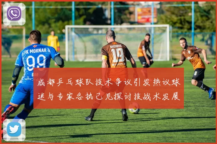 成都乒乓球队技术争议引发热议球迷与专家各执己见探讨技战术发展