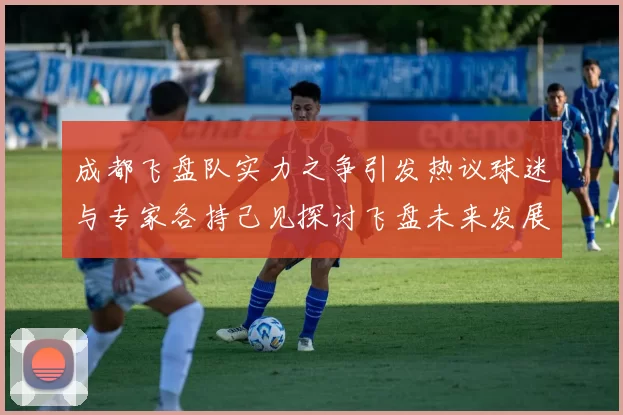 成都飞盘队实力之争引发热议球迷与专家各持己见探讨飞盘未来发展